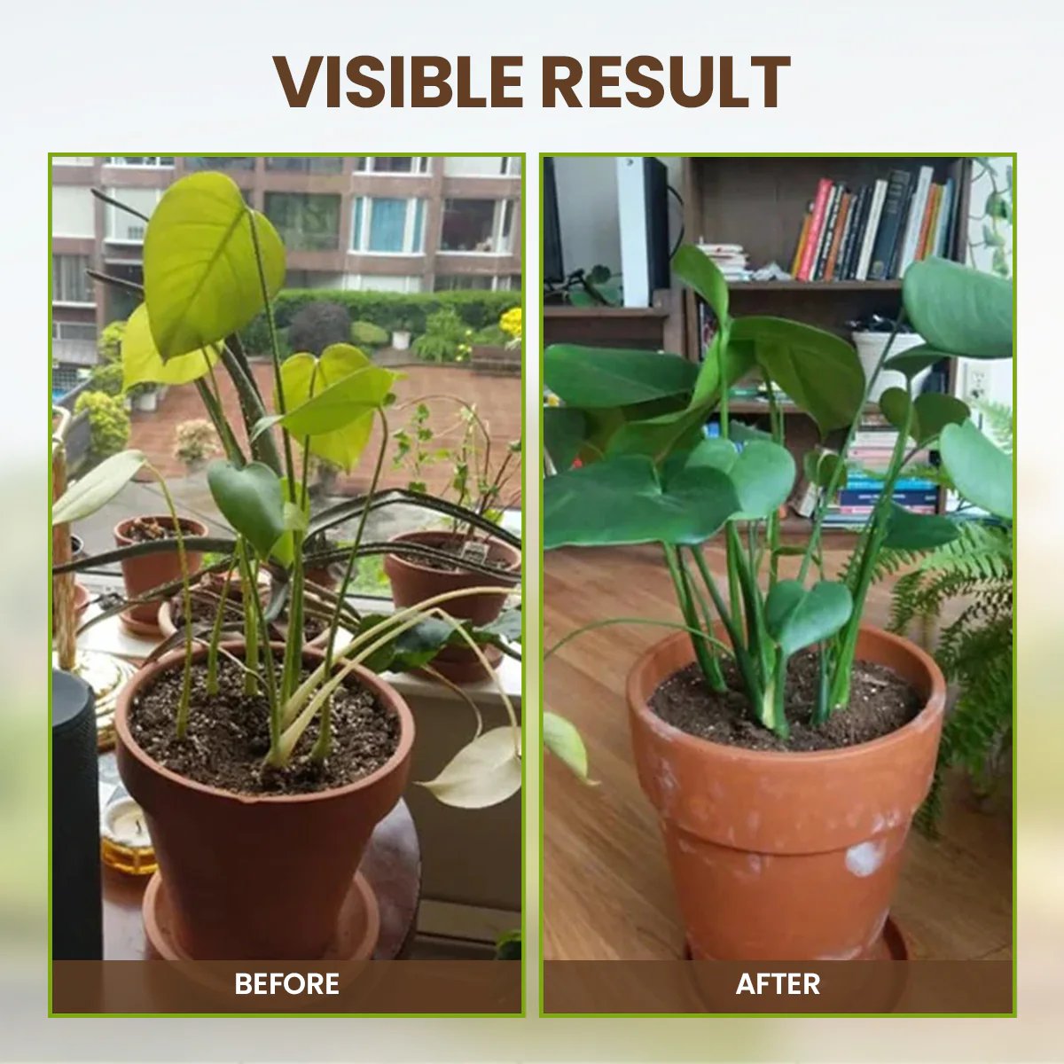 👩🏻‍🌾🌱Rejuvenate plants-Soil Pro Activator🔥